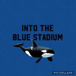 Orca Century