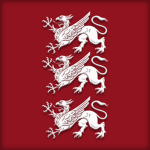 Infyntiriregymnt 31 «Wyndsaarii»