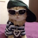 HDoutfits