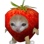 CasmirStudios
