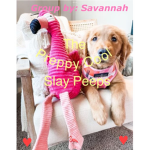 DOGGIES SLAY!!!!!