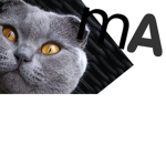 Mikoanian Airlines