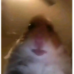 Hello i hope u have much robux after u joined this