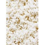 Give robux to Rice ###############