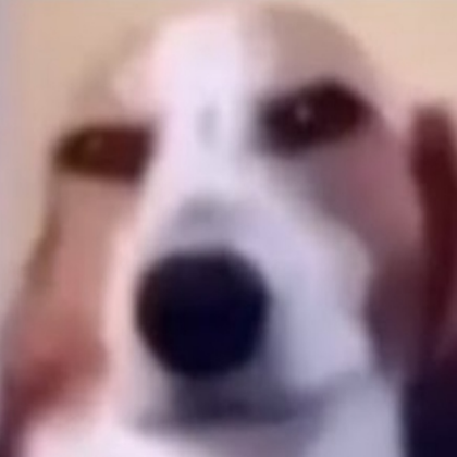 Sus dog Roblox decal