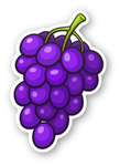 Favorite Fruits!