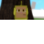 Yooo my guy has robux