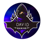 DavidGamerYT;)