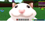 popcat56
