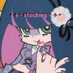 - + - stocking - + -