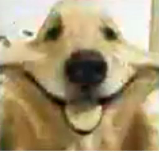 null zone discovery zone