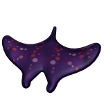 Galaxy Ray