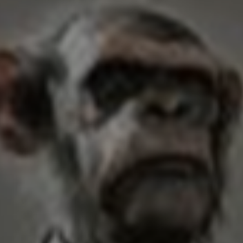 [BROKEN] Build to survive crazy monkeys!