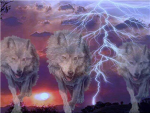 Wolf Riot