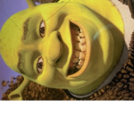 SHREK BABY BOOTIES