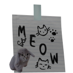 cabbit note