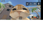 The best cat army ever In the world