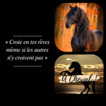 ~ A Cheval ! ~