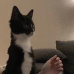 katti