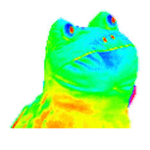 The memey thing.