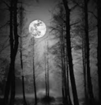 BlackWoodsOfDarkness