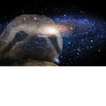 Team Galaxy Sloth