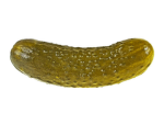 PickleTek