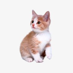 :0/