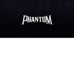 Phantom followers