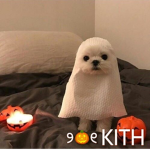 ୨୧ kith