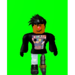 ROBLOX HYPE HOUSE CYA