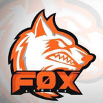 FOX TEAM GAMING