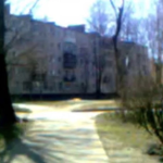 kingdоm