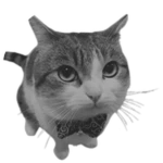 Grayscale Wawa