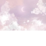 Kate's Merch store