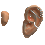 Silver Alt Piercings: Nougat Ears