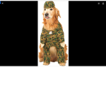 Dog Soldiers