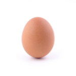EggHunt 2023