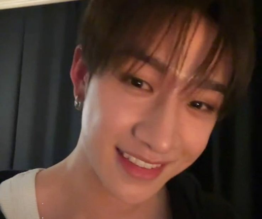 Survive Bangchan!! Stray Kids screenshot 3