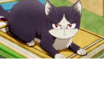 Kittennz$!