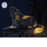 The lost alaskin winter wolfs