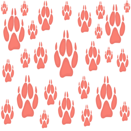 Salmon Paw Print Wallpaper Roblox decal