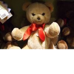 The Teddy Bear Family