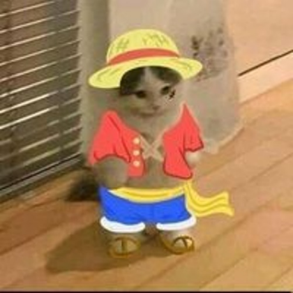 Cat Luffy Roblox decal