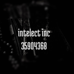 intelect inc.