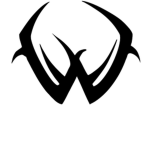 WEZZLOW UNITED