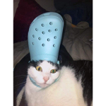 Nataliecookie1212