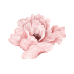 Bloom~