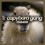をCapybara Gang