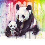 The Rainbow Panda Squad